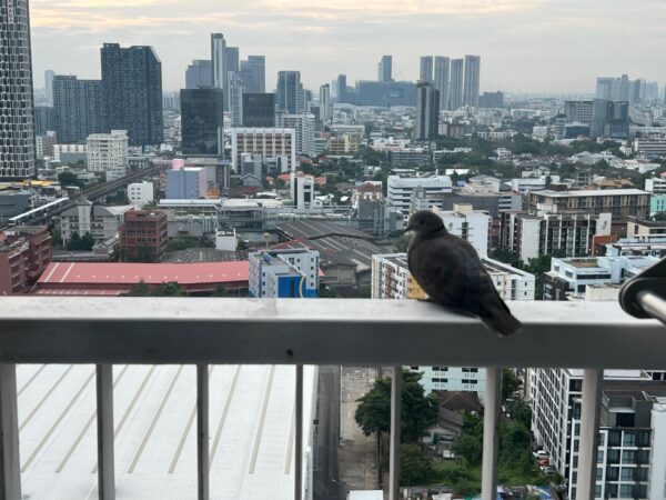 60代から始めるノマドライフ 325