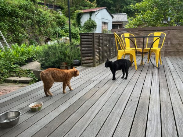 60代から始めるノマドライフ 327