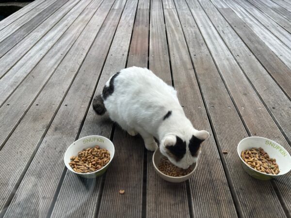 60代から始めるノマドライフ 335