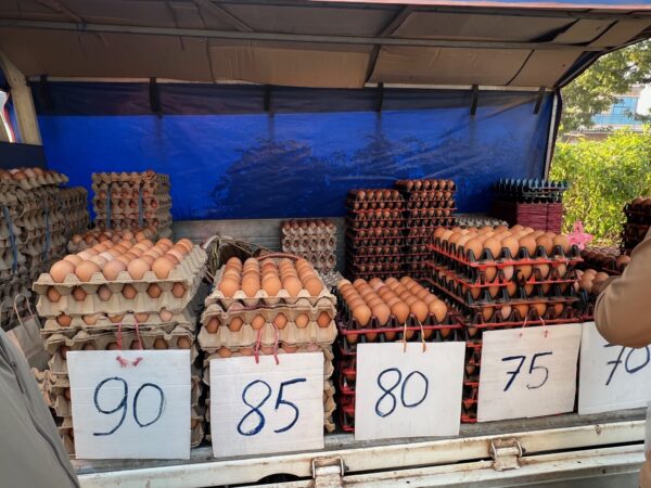 60代から始めるノマドライフ 347