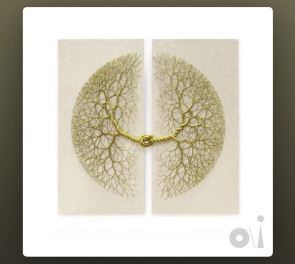 60代から始めるノマドライフ 349