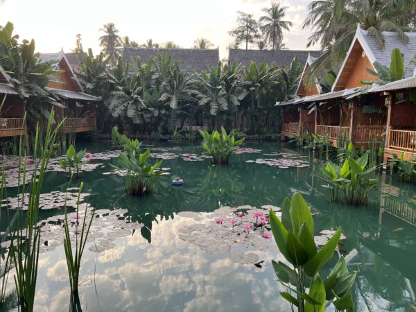 60代から始めるノマドモドキライフ 354